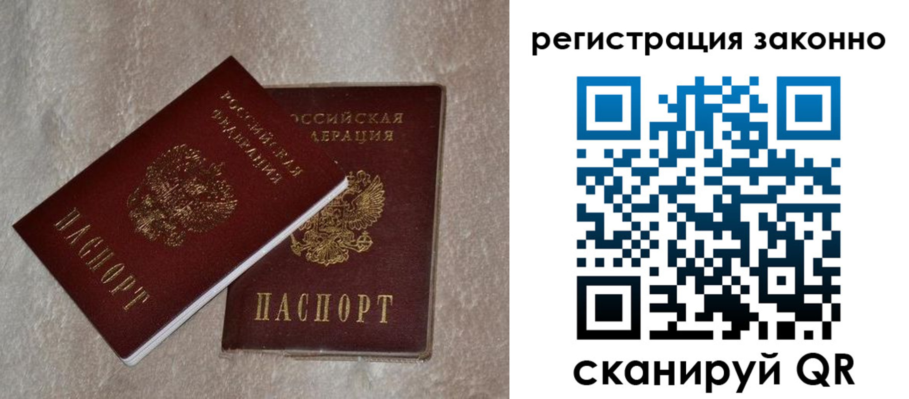 прописка законно в Тимашёвске